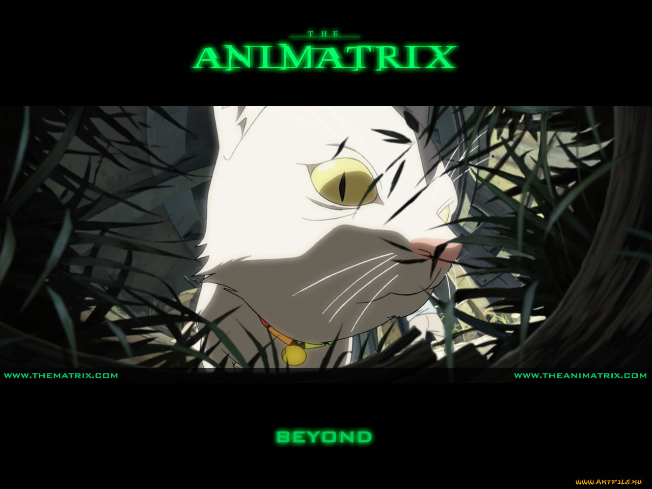 , animatrix